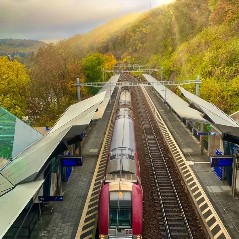 Train in a station - Survcoin Luxembourg